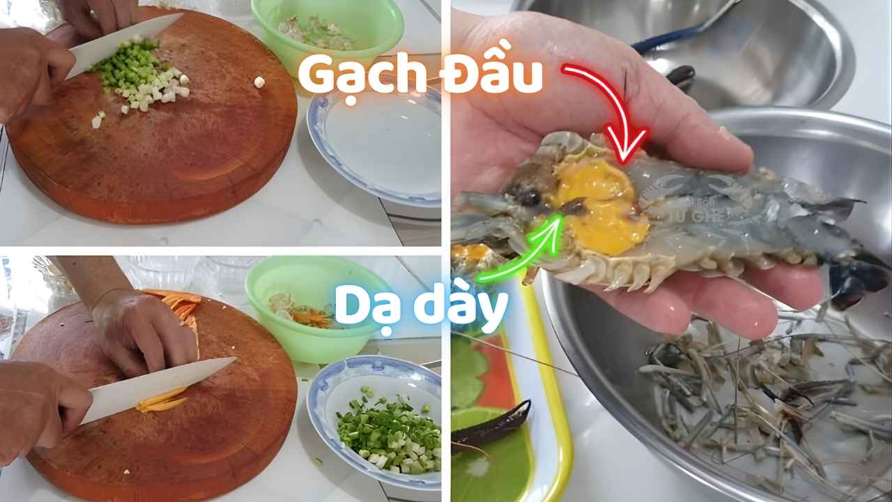 phan dau tom cang nhu the nao